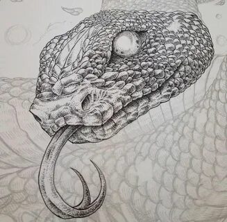 Snake head #walkingstickswrap Snake drawing, Snake art, Tatt