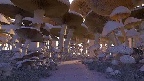 Mushroom Forest on Behance