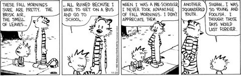 Calvin and Hobbes by Bill Watterson, November 22, 2012 Via @