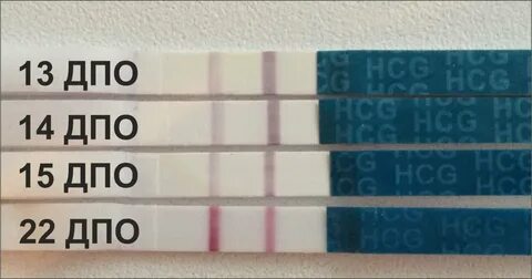 22 dpo bfn