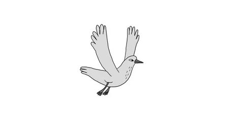 Bird illustration GIF - Find on GIFER