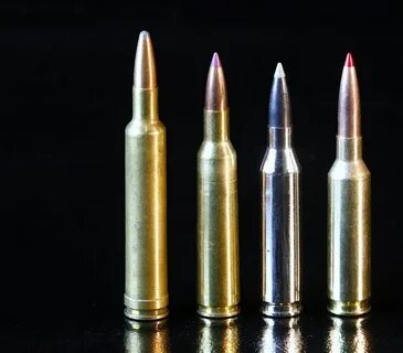 From L: 240 Wby. Mag., 6mm Rem., 243 Win. and 6mm Creedmoor 