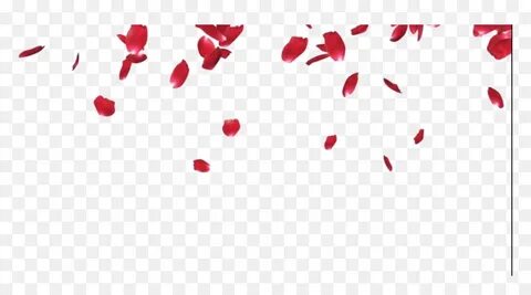 Sakura Petals Png Flower Petals Falling Gif Transparent - Ma