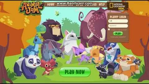 Getting 6 month membership!- Animal Jam - YouTube