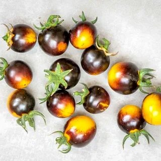 Лучшие томаты сибирской селекции: очень урожайные для теплиц