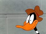 Топ 30 Daffy Duck GIF Находи лучшие GIF на Gfycat