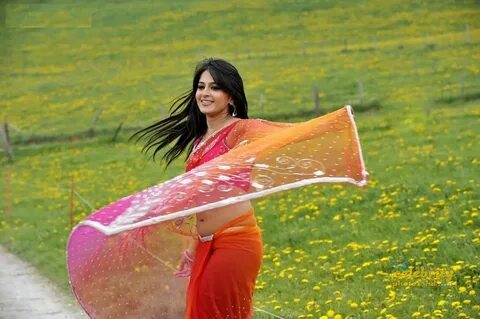 South Indian Super Spicy Model, Actress Anushka Shetty Photo