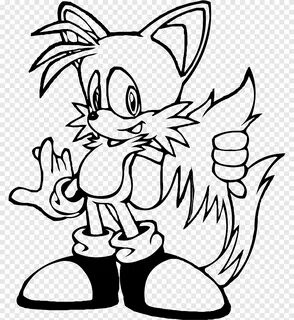 Sonic Renk Kuyrukları Gölge Kirpi Amy Rose Sonic the Hedgeho