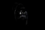 Marlon James "Schwarzer Leopard, roter Wolf" - Buchrezension