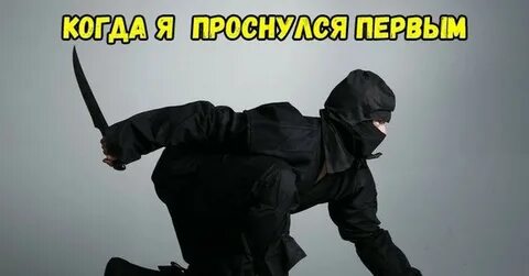 Жиза Пикабу