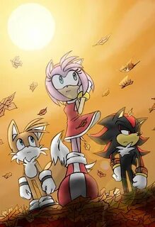 Fall Time is here!!! Amy, Shadow, and Tails. Shadow and amy,