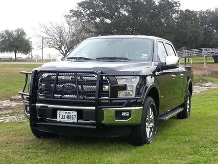 brush guard 2015 f150 for Sale OFF-52