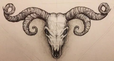 Goat Skull Tattoo Drawing : On this video i draw a stylished