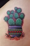cactus design denver - Wonvo