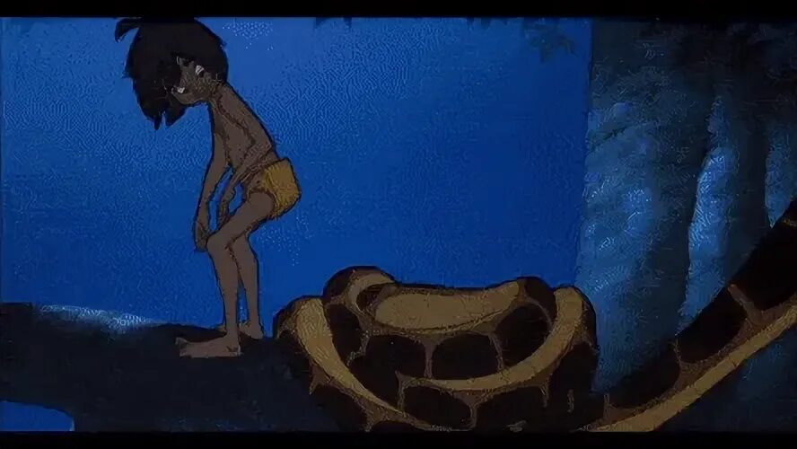 Top 30 The Mowgli's GIFs Rechercher le meilleur GIF sur Gfyc