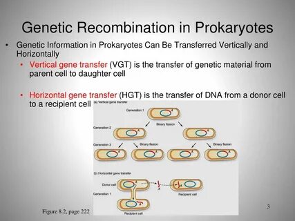PPT - Genetic Recombination PowerPoint Presentation, free do