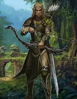 Pin by Pystoy on WARRIOR Male Wood elf, Elf warrior, Elf ran