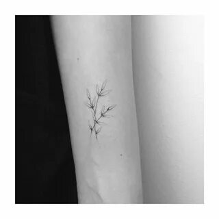 Pin by Micro Cirque Rinka on Tattoos Olive tattoo, Olive bra