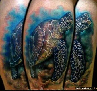 Что значит черепаха татуировка