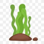 Download High Quality seaweed clipart cartoon Transparent PN