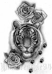Tiger Tattoo Tiger tattoo, Tiger tattoo thigh, Tiger tattoo 