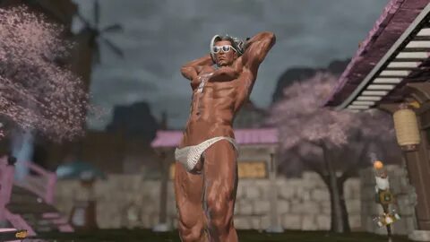 Coeurl Beach Briefs with Fishnet XIV Mod Archive