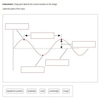 Drag each label to the correct location on the image.Label t