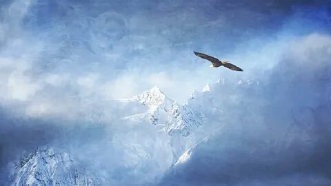 Alaska Dreaming Photograph by Michele Cornelius - Pixels