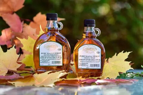 TRADITIONAL MAPLE SYRUP - Maple Orchard Farms