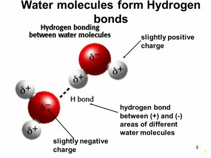 1. 2 Polar Covalent vs. Nonpolar Covalent Polar covalent- wh