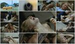 Forced Sex Scenes - Porn Sex Photos