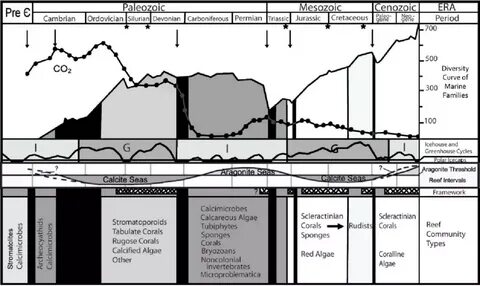 Reef systems through time and various parameters or metrics.