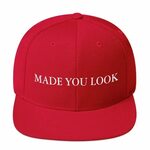 Made You Look Embroidered Snapback Hat Funny Hat Maga Trump 
