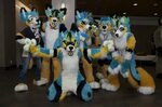 Fursuits are a LUXURY not a NEED Rune's Furry Blog