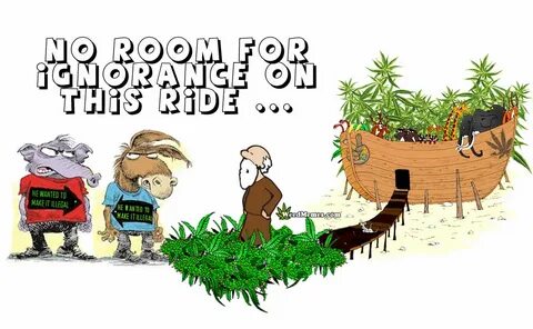Stoner Noah's Ark Funny Weed Cartoon No Room For Ignorance -