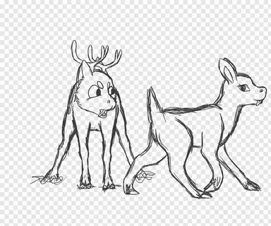 Reindeer Line art Drawing Sketch, Reindeer free png PNGFuel