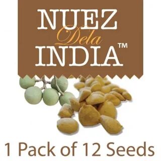 Heatbud Health - Some nuez de India side effects you should 