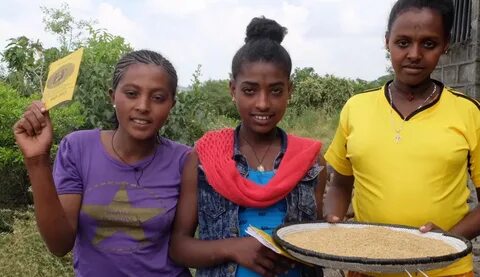 Quinoa adventure creating jobs for women in Ethiopia by Jesp