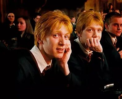 Weasley brothers 😜 😹 ❤ Harry Potter Amino