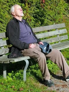 HD wallpaper: man sitting on wooden bench near plants, resti