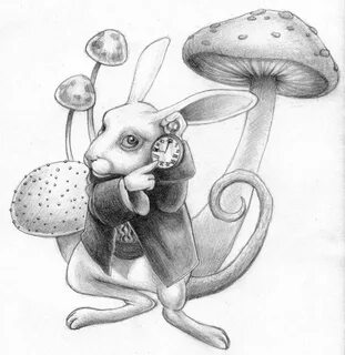 Alice In Wonderland Rabbit Drawing White rabbit alice Alicia