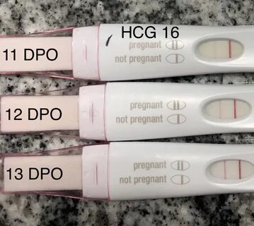 Progression Line / Low HCG - Trying to Conceive Forums What 