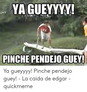 YA GUEYYYY PINCHE PENDEJO GUEY Ya Gueyyyy! Pinche Pendejo Gu