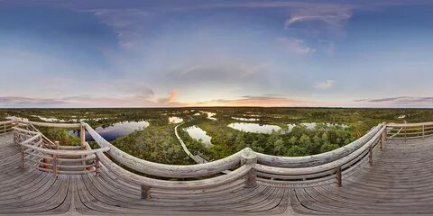 File:Lv kemeri swamp photosphere.jpg - Wikimedia Commons