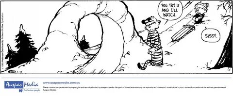 Calvin and Hobbs (AMS)