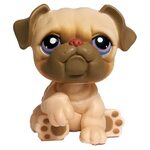 Littlest Pet Shop Pet Pairs Bulldog (#135) Pet LPS Merch