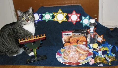 Catsparella: Cats Celebrating Hanukkah