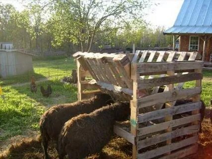 How to Build a Hay Feeder From Pallets DIY projects for ever