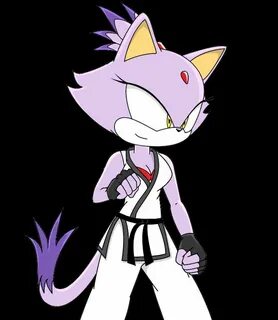 Blaze The Cat Cats, Drawings, Character