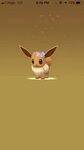 Flower Crown Eevee Gif - Same Day Flower Delivery